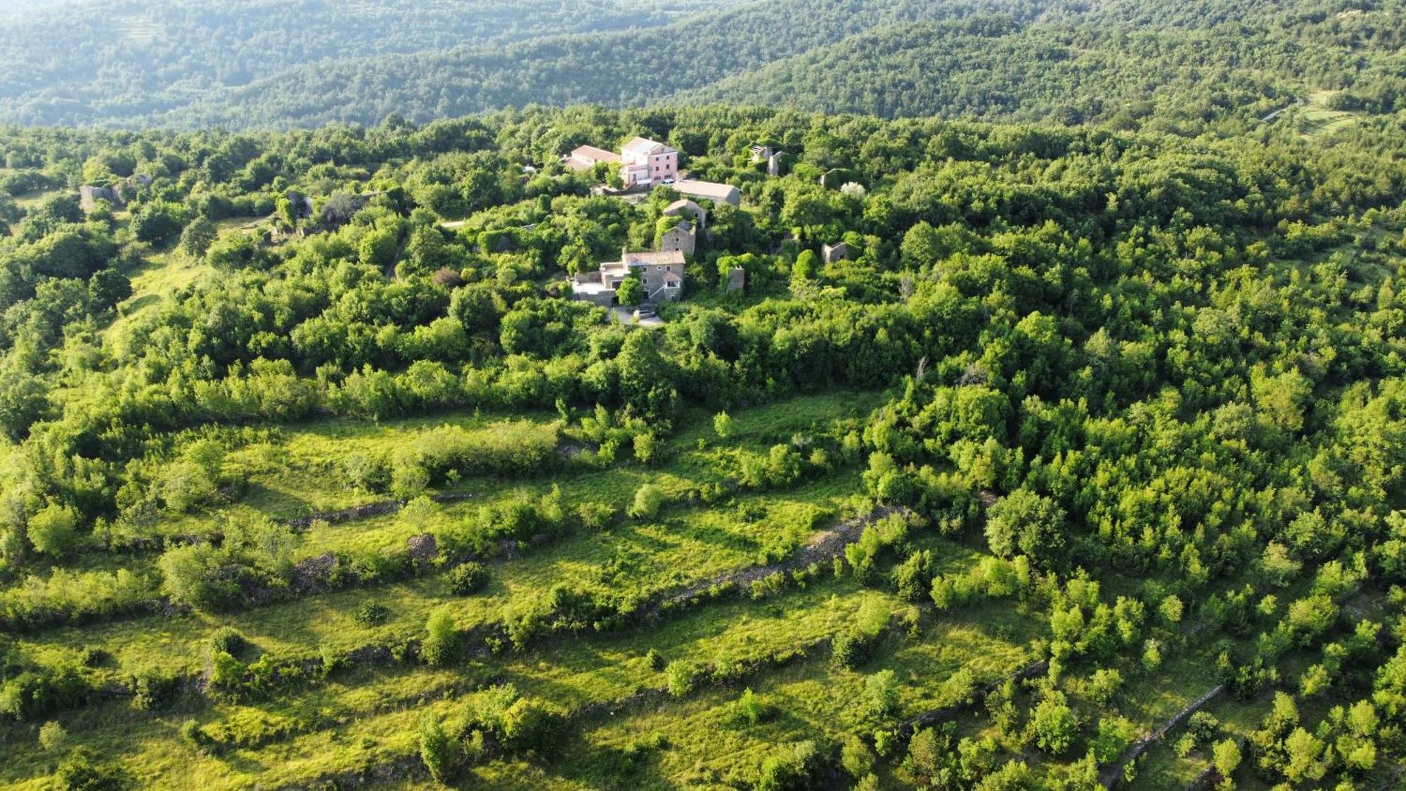 Casa Del Conte - Peaceful Hideaway In North Istria Villa Groznjan Exterior photo
